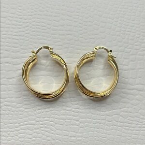 Elegant Gold Hoop Earrings